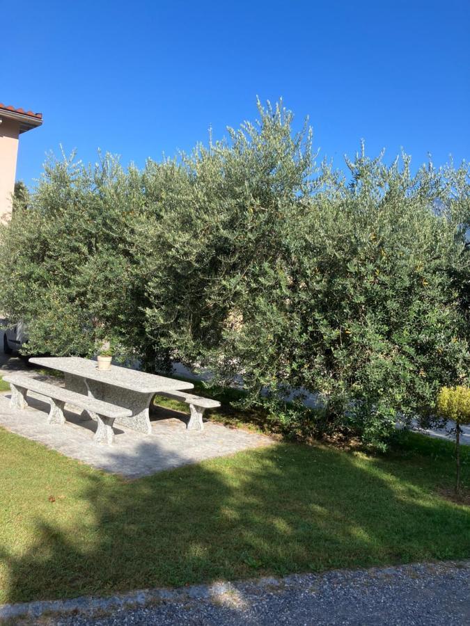 Residenza Giovanni Contone Экстерьер фото